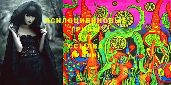 PSILOCYBIN Дмитров