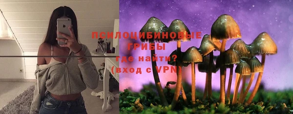 PSILOCYBIN Дмитров