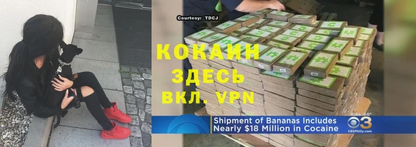 винт Новозыбков