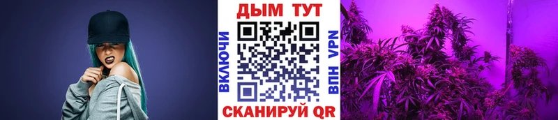 купить наркотики цена  Калачинск  Канабис Bruce Banner 